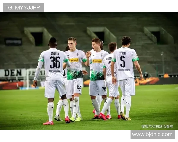 11月2日伊斯坦布尔对阵霍芬海姆精彩赛事前瞻与分析